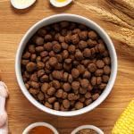 Dr. John Titanium Complete Dry Dog Food 15kg - Chicken, Vegetables and New Zealand Green-Lipped Mussel - Complete Nutrition for Active Adult and Junior Dogs