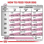 Royal Canin Renal Veterinary Health Nutrition Wet Dog Food 12 x 410g