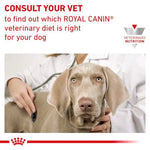 Royal Canin Renal Veterinary Health Nutrition Wet Dog Food 12 x 410g