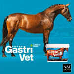 NAF Five Star GastriVet 4kg – Advanced Stomach Support for Horses – Clinically Proven Formula. Includes Prebiotics, Probiotics & Postbiotics – Supporting Stomach Lining & Gut Health
