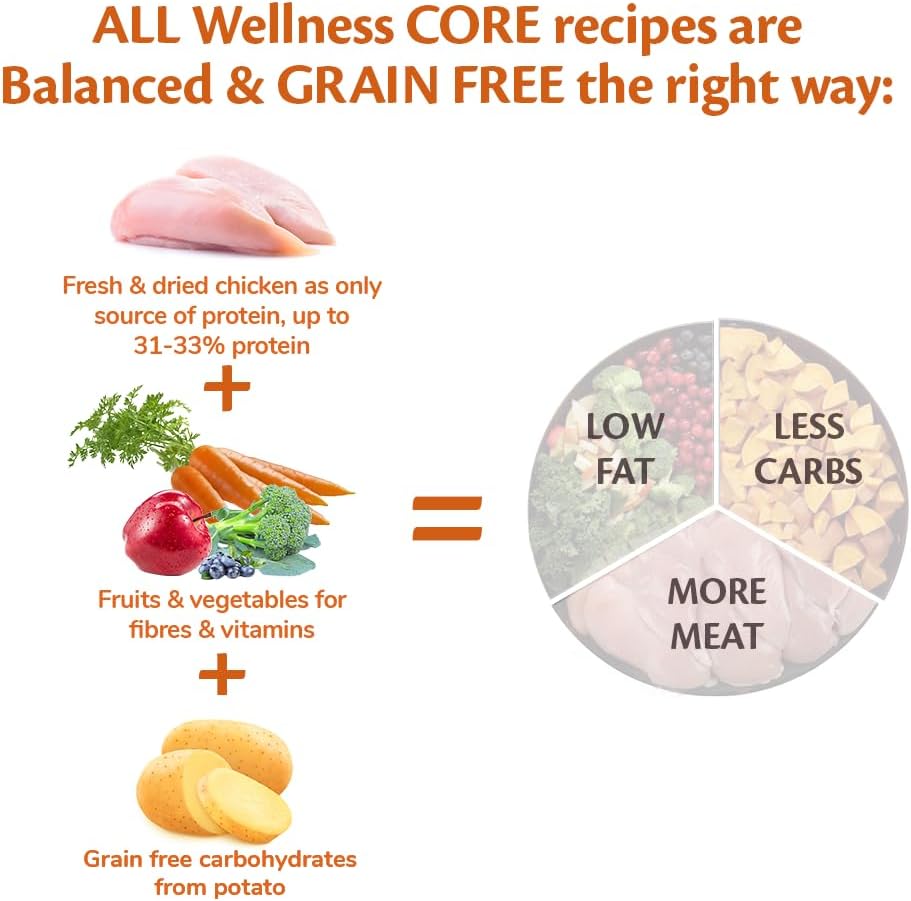 Wellness CORE Large Breed Puppy Original, 10kg