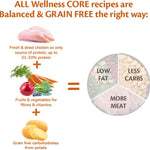 Wellness CORE Large Breed Puppy Original, 10kg