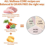 Wellness CORE Puppy 10 kg, Chicken & Turkey – Dry Dog Food