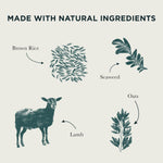 burns-dog-original-lamb-brown-rice-12kg - Uwu4Dogs
