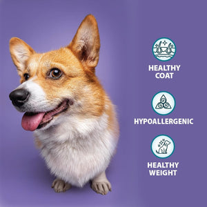 Burns Pet Nutrition Sensitive Grain Free Duck and Potato Adult Dry Dog Food, 12 kg