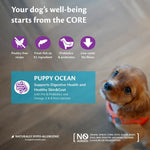 Wellness CORE Puppy Ocean 5kg, Salmon & White Fish – Dry Dog Food