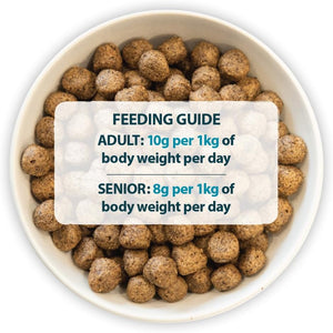 Burns Pet Nutrition Sensitive Grain Free Duck and Potato Adult Dry Dog Food, 12 kg