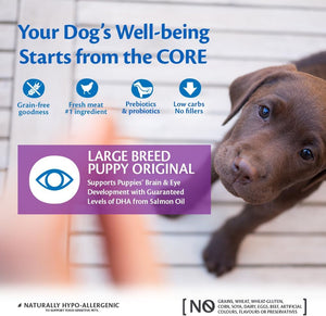 Wellness CORE Large Breed Puppy Original, 10kg