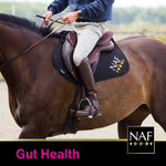 NAF Five Star GastriVet 4kg – Advanced Stomach Support for Horses – Clinically Proven Formula. Includes Prebiotics, Probiotics & Postbiotics – Supporting Stomach Lining & Gut Health