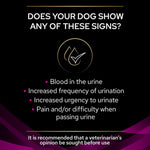PRO PLAN VETERINARY DIETS UR Urinary Dry Dog Food 3kg