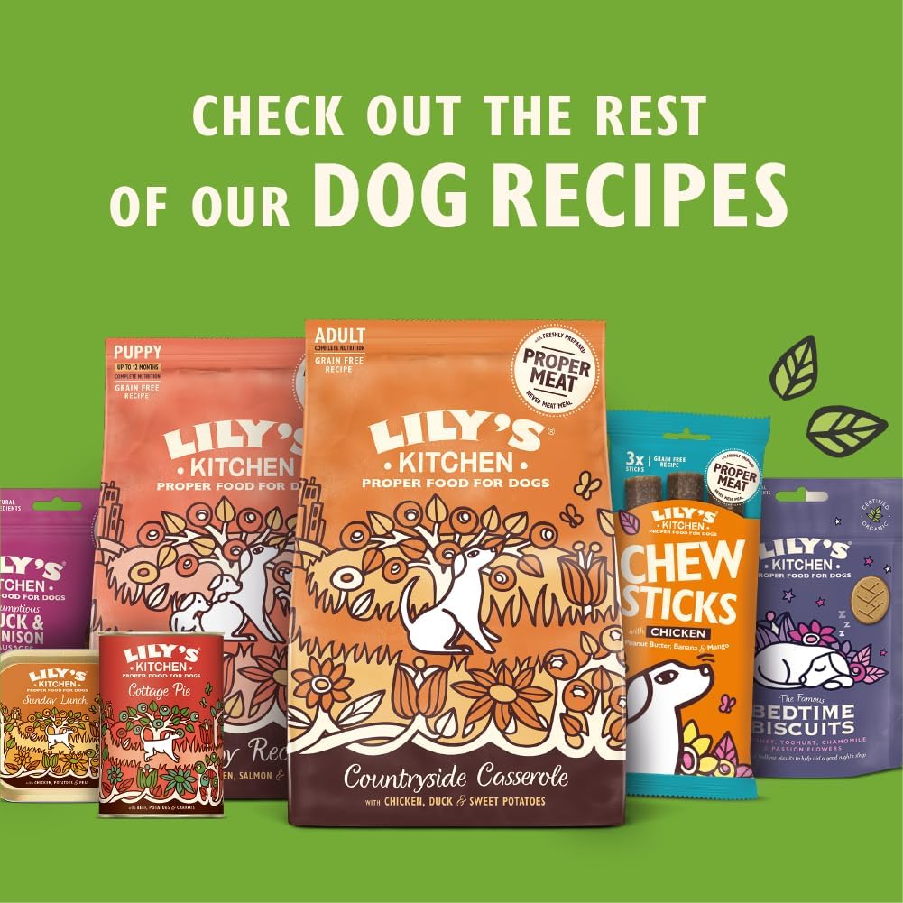 Lily's Kitchen Grain Free Wild Woodland Walk Dry Dog Food - 12kg