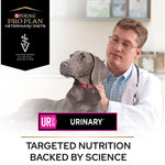 PRO PLAN VETERINARY DIETS UR Urinary Dry Dog Food 12kg