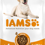 IAMS Complete Dry Dog Food for Adult 1+ Large Breeds with Chicken 12 kg