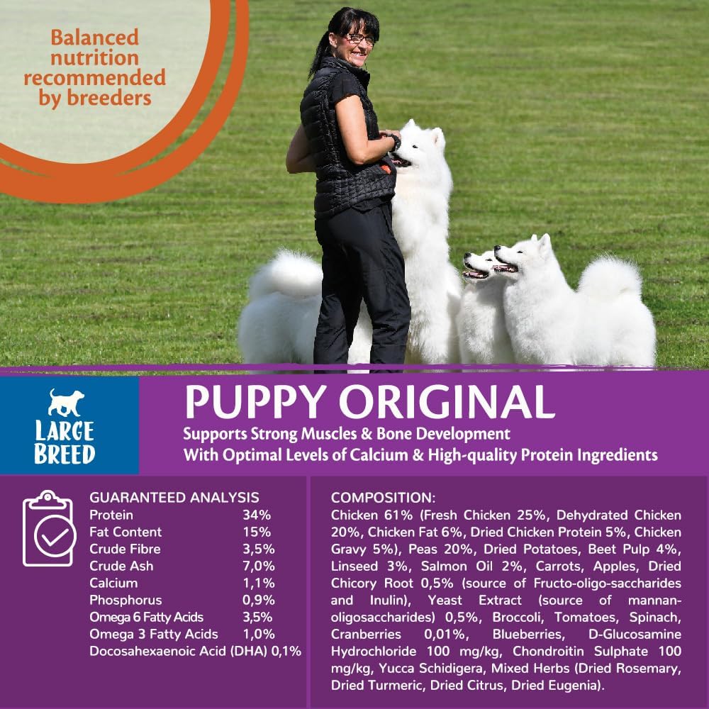 Wellness CORE Large Breed Puppy Original, 10kg