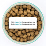 Burns Pet Nutrition Complete Dry Hypoallergenic Dog Food For Sensitive Dogs – Turkey and Potato 12 kg