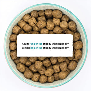 Burns Pet Nutrition Complete Dry Hypoallergenic Dog Food For Sensitive Dogs – Turkey and Potato 12 kg
