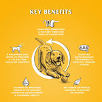 Dr John Puppy Dry Dog Food 10kg – High Protein Chicken Puppy Food with Omega 3 for Brain Development – Complete Nutrition for Working & Active Breed Puppies from Weaning