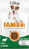 IAMS Complete Dry Dog Food for Adult 1+ Small and Medium Breeds with Lamb 12 kg
