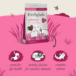 Forthglade Dry Dog Food, Cold Pressed, (6kg Resealable Bag), Salmon with Vegetables, Hypoallergenic Dog Food, Grain Free Complete Meal, Natural Puppy, Adult and Senior Dry Dog Food For Good Gut Health