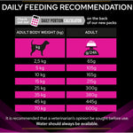 PRO PLAN VETERINARY DIETS UR Urinary Dry Dog Food 12kg