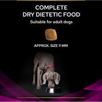 PRO PLAN VETERINARY DIETS UR Urinary Dry Dog Food 12kg