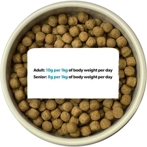Burns Dog Original Lamb & Brown Rice 12kg