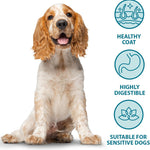 Burns Pet Nutrition Complete Dry Hypoallergenic Dog Food For Sensitive Dogs – Turkey and Potato 12 kg