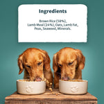 Burns Dog Original Lamb & Brown Rice 12kg