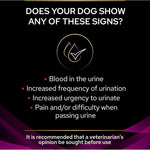 PRO PLAN VETERINARY DIETS UR Urinary Dry Dog Food 12kg