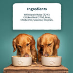 Burns Pet Nutrition Complete Dry Hypoallergenic Dog Food For Sensitive Dogs – Turkey and Potato 12 kg