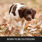 Skinner’s Field & Trial Junior – Complete Dry Food for Young Dogs, Balanced, Supports Gut Health, 15kg