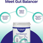 Protexin Equine Gut Balancer, Daily Gut Support, Horse & Pony, 7kg Powder