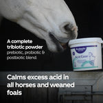 Protexin Equine Acid Ease, 3Kg, Daily Gut Support for Horses and Weaned Foals Prone to Gastric Sensitivity