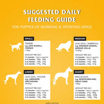 Dr John Puppy Dry Dog Food 10kg – High Protein Chicken Puppy Food with Omega 3 for Brain Development – Complete Nutrition for Working & Active Breed Puppies from Weaning