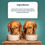 Burns Dog Original Fish & Brown Rice 12kg