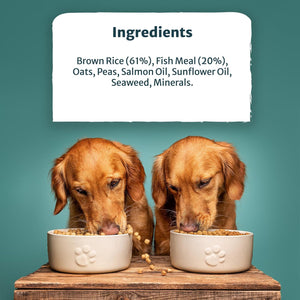 Burns Dog Original Fish & Brown Rice 12kg