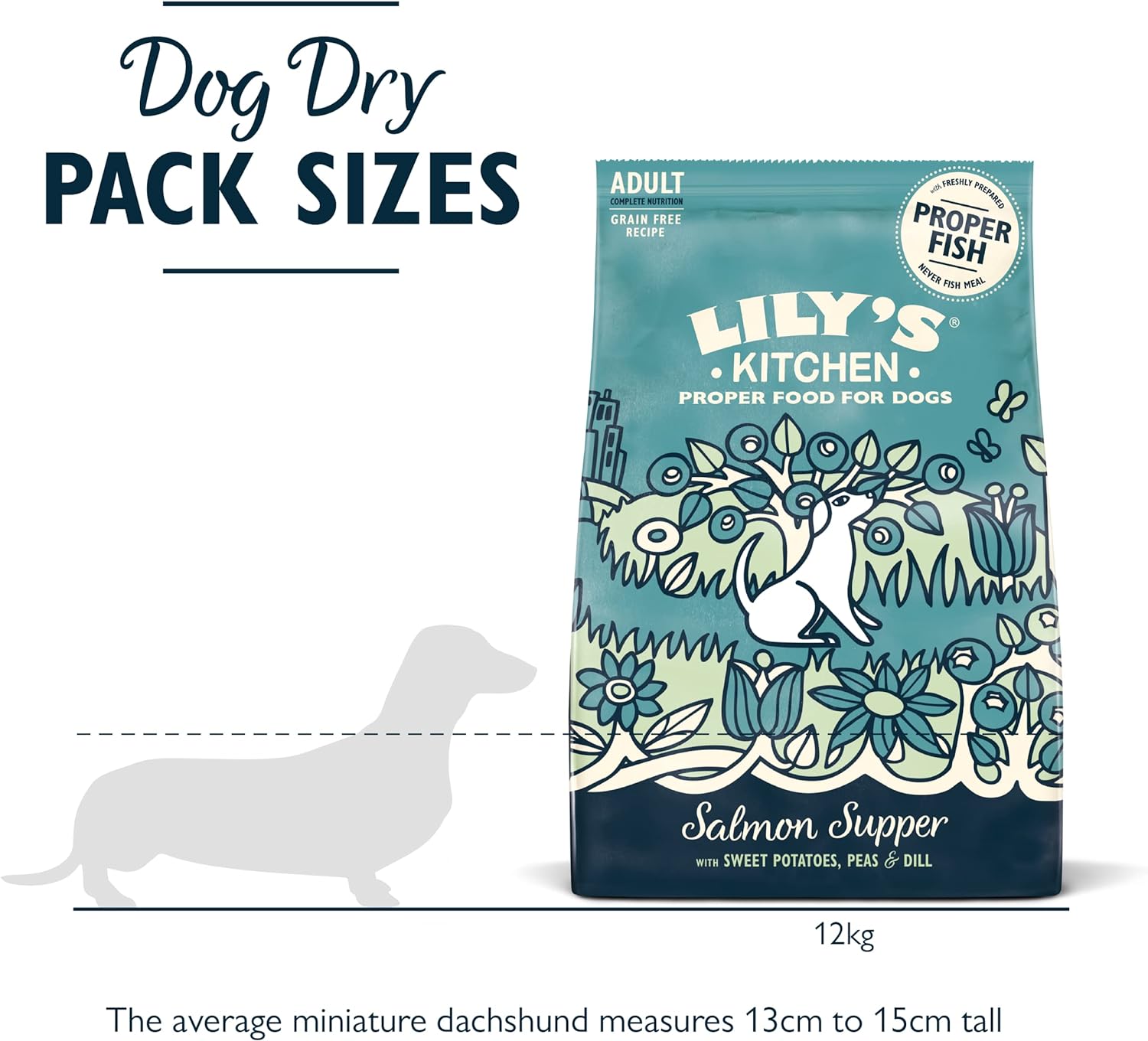 Lily's Kitchen Salmon Supper Adult Dry Dog Food - 12kg