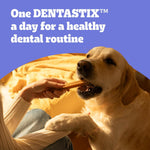 PEDIGREE DENTASTIX - Dental Dog Chews - Adult Large Dogs 25kg+ - 4 x 28 Sticks - Megapack of Dog Dental Sticks