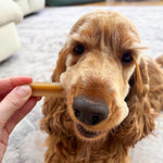 PEDIGREE DENTASTIX - Dental Dog Chews - Adult Large Dogs 25kg+ - 4 x 28 Sticks - Megapack of Dog Dental Sticks