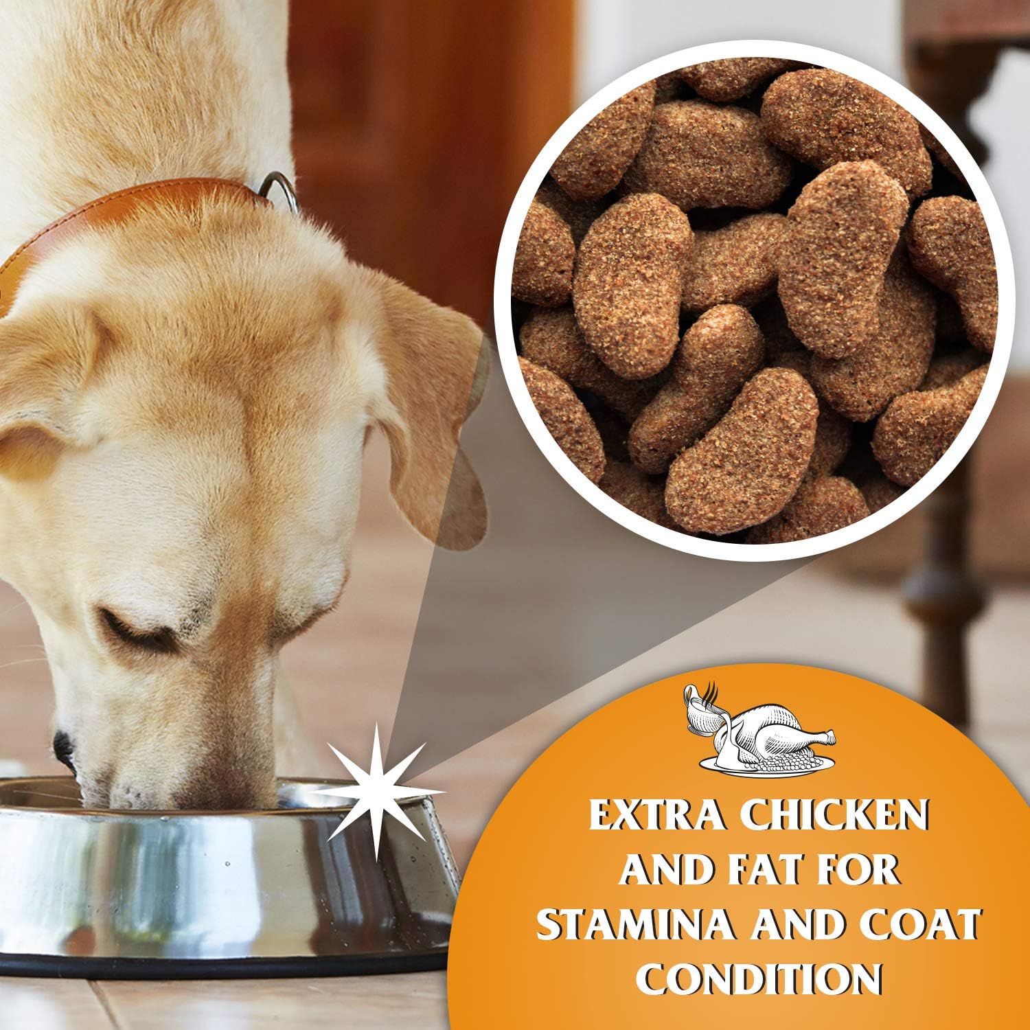 Dr John Gold Dry Dog Food - Chicken with Vegetables 15kg