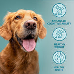 Burns Natural Nutrition Senior + Complete Dry Dog Food Chicken & Brown Rice 12kg