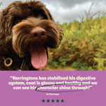 Harringtons Complete Dry Adult Dog Food Lamb & Rice 18kg