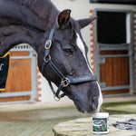 NAF Five Star Superflex Senior 660g – Joint Support Supplement for Hard Working & Older Horses – Glucosamine, MSM, Chondroitin & Omega-3 – Promotes Mobility, Flexibility & Comfort