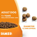 IAMS Complete Dry Dog Food for Adult 1+ Small and Medium Breeds with Lamb 12 kg