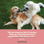 Harringtons Complete Dry Adult Dog Food Salmon & Potato 18kg