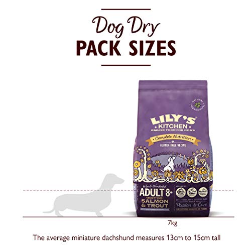 Lily's Kitchen Senior Salmon and Trout Dry Dog Food, 7 kg