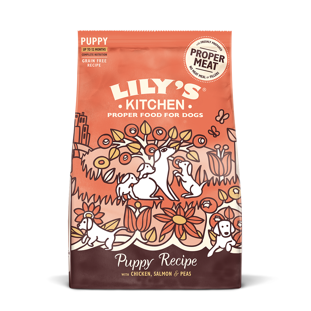 Lily's hot sale kitchen dog